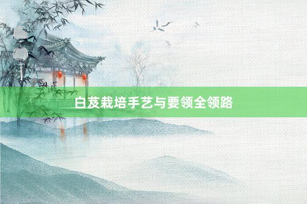 白芨栽培手艺与要领全领路