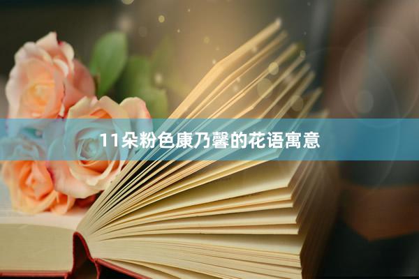 11朵粉色康乃馨的花语寓意